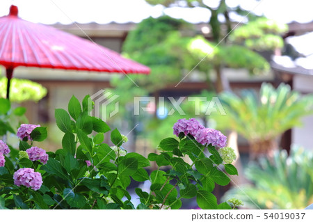 Rainy season Rainy season 54019037