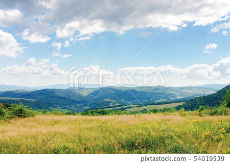 summer countryside in mountains summer countryside in mountains 54019539
