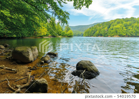 beautiful summer scenery near the mountain lake beautiful summer scenery near the mountain lake 54019570
