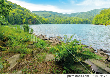 vihorlat lake slovakia vihorlat lake slovakia 54019573