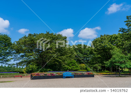 藍色長凳公園花床新綠色 54019762