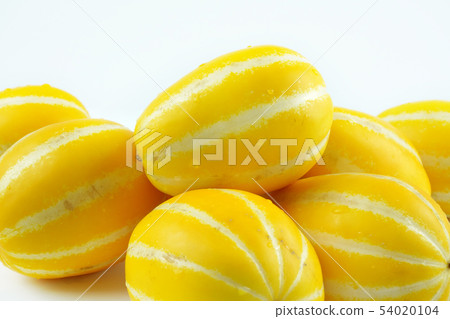 Fresh melon, Melon object Fresh melon, Melon object 54020104