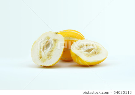 Fresh melon, Melon object Fresh melon, Melon object 54020113