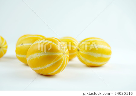 Fresh melon, Melon object Fresh melon, Melon object 54020116