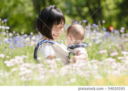 [Flower field] Mother and baby 54020393