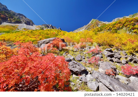 Kaoru Serizawa's Autumn Leaves and Hotaka Mountain Kaoru Serizawa's Autumn Leaves and Hotaka Mountain 54020421