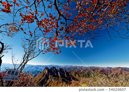 Rocky peaks of Myoyoshisan seen from the autumn colored Soamadake 54020607