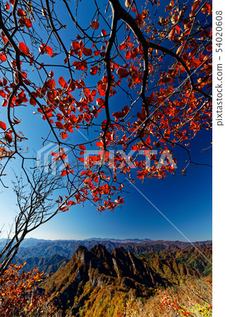 Rocky peaks of Myoyoshisan seen from the autumn colored Soamadake 54020608
