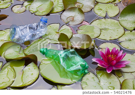 plastic bottle lake water lily plastic bottle lake water lily 54021476