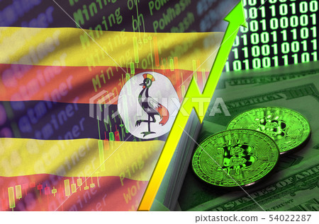 Uganda flag and cryptocurrency growing trend with Uganda flag and cryptocurrency growing trend with 54022287