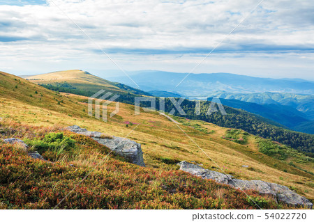 rocks on the grassy meadow in mountains 54022720
