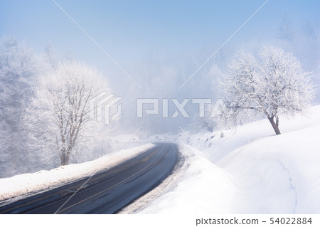 road through forest in winter road through forest in winter 54022884
