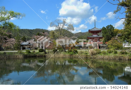 在Okukuji，Ukyo-ku，京都市的大澤池和雙心寶塔 54024148