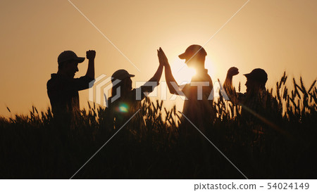 A group of young farmers makes the mark high five in a field of wheat. Success in agribusiness 54024149