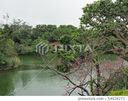 Okinawa / Naha / Shuri Castle Park Ryuji Shurjojo Castle Park, Naha, Okinawa Okinawa / Naha / Shuri Castle Park Ryuji Shurjojo Castle Park, Naha, Okinawa 54026271