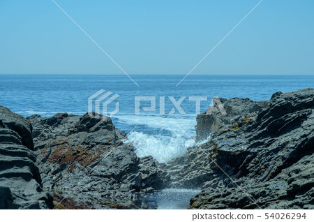 [Kanagawa] Jogashima/Awasaki 54026294