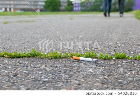 thrown smoking cigarette butt lying on the asphalt thrown smoking cigarette butt lying on the asphalt 54026810