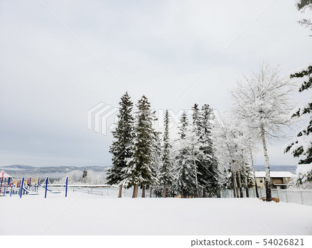 Landscape of snowy Canadian countryside village 54026821