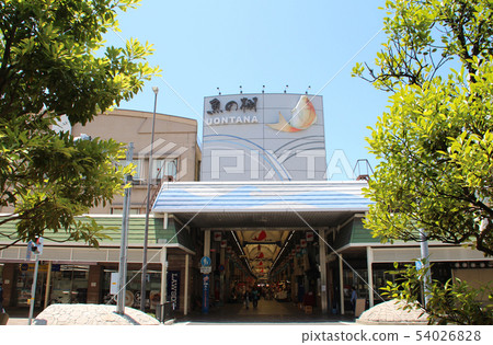 Akashi Fish Shelf Market Akashi Fish Shelf Market 54026828