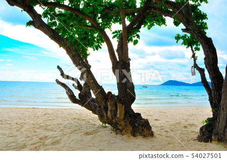 沙美島的海灘 沙美島的海灘 54027501