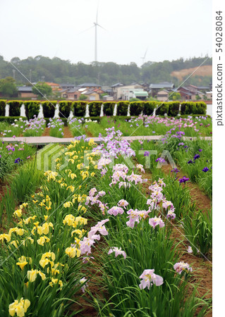 Lake Kitagata Gion Garden (Awara City, Fukui Prefecture) 54028084