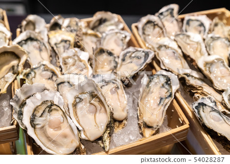 Fresh Oyster 54028287