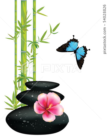 Black pebble with flower Black pebble with flower 54028826