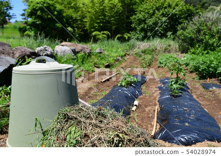 Weed composting image, compost, garbage composting container, field, home garden image material 54028974