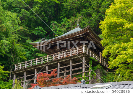 Iwade Kannon 54028986