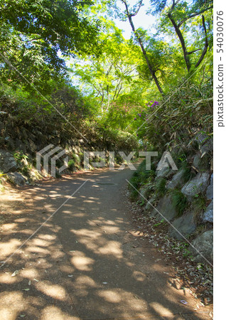 新鮮的綠色Tennzan山行跡 54030076