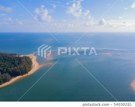 Aerial view of natural forest trees with sand, Aerial view of natural forest trees with sand, 54030281