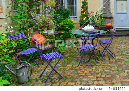Garden decorated with autumn flowers, pumpkins, plants Garden decorated with autumn flowers, pumpkins, plants 54031631
