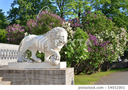 Statue of lion. Statue of lion. 54032001