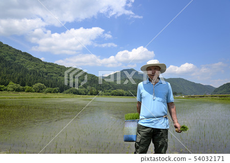 高級種植米微笑 54032171