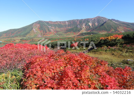 Daisetsuzan, Tomadake and Ansokukandake in the background of autumn leaves Daisetsuzan, Tomadake and Ansokukandake in the background of autumn leaves 54032216