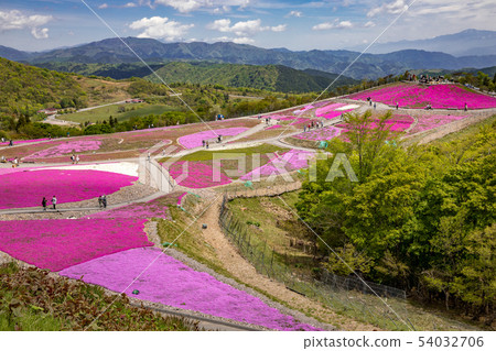 Charentacean Plateau 54032706