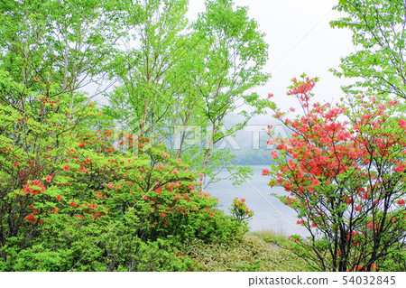 大沼在霧中 54032845