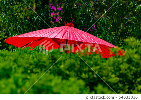 一場婚禮 一場婚禮 54033010