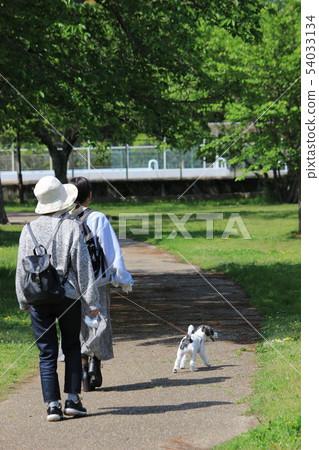 Nango Park Nango Park 54033134