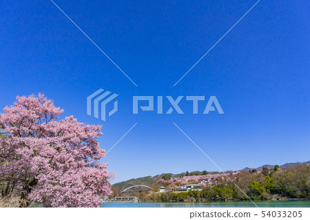 Sakura Lake Takato伊那市長野縣 Sakura Lake Takato伊那市長野縣 54033205