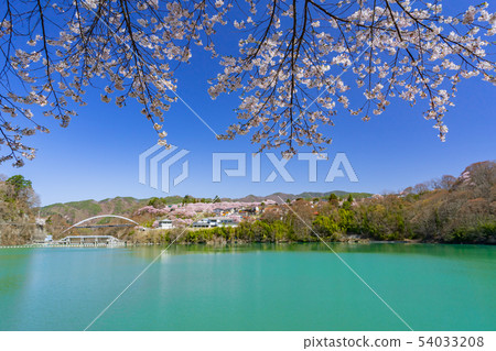 Sakura Lake Takato伊那市長野縣 Sakura Lake Takato伊那市長野縣 54033208