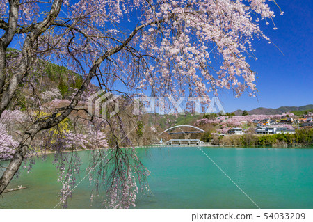 Sakura Lake Takato伊那市長野縣 Sakura Lake Takato伊那市長野縣 54033209
