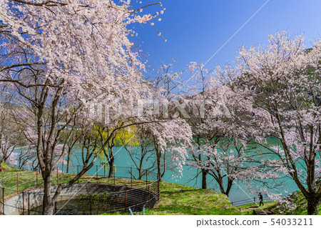Sakura Lake Takato伊那市長野縣 Sakura Lake Takato伊那市長野縣 54033211