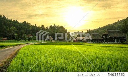 Summer rural landscape (at dusk of Ashinoshima ring village) 54033862