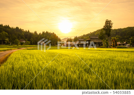 Summer rural landscape (at dusk of Ashinoshima ring village) Summer rural landscape (at dusk of Ashinoshima ring village) 54033885