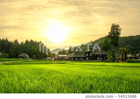 Summer rural landscape (at dusk of Ashinoshima ring village) Summer rural landscape (at dusk of Ashinoshima ring village) 54033886