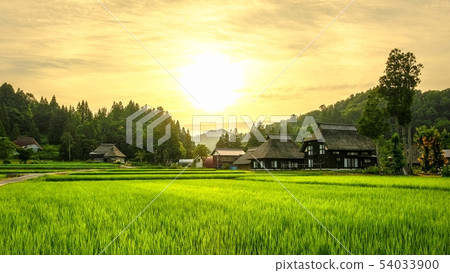 夏季鄉村景觀（在蘆之島環村的黃昏） 54033900