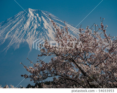 Iwamoto Yama Park的富士山 54033953