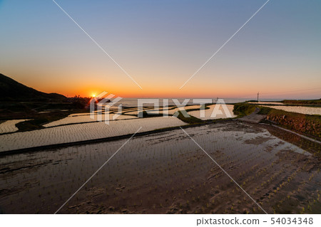Rice terrace evening landscape Rice terrace evening landscape 54034348