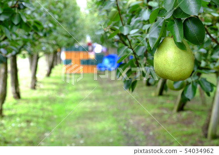 La France harvest La France harvest 54034962